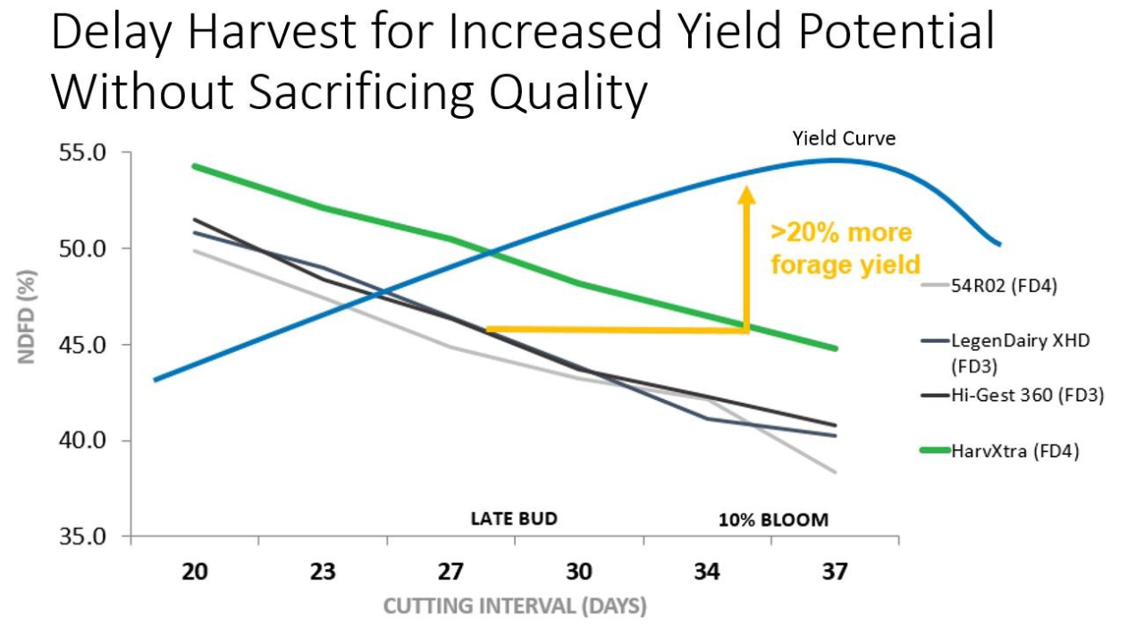 Figure 1. Delayed harvest of HarvXtra® Alfalfa can potentially add yield without sacrificing quality. (Data comes from Forage Genetics International trials comparing HarvXtra® Alfalfa with Roundup Ready® Technology 2017 FD4 commercial varieties to commercial checks. Trials were seeded in 2013 and harvested in 2014, 2015 and 2016 in Boone, IA; Mt. Joy, PA; Nampa, ID; Touchet, WA; and West Salem, WI. Yield increase is directly correlated to the ability to delay harvest.)